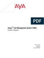 Avaya CMS Custom Reports