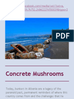 Concrete Mushrooms