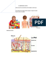 El Sentido Del Tacto