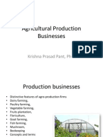 Production Businesses