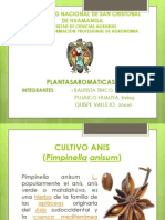 Diapositiva Plantas Aromaticas