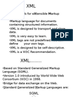 XML 