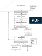 ARF Pathophysiology