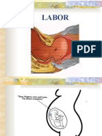 Normal Intrapartum