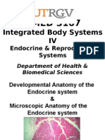 PPP Embryo N Histo Endocrine System