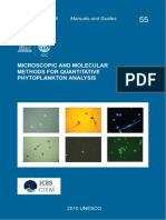 Microscopic and Molecular