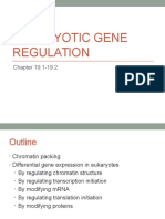 Eukaryotic Gene Regulation Notes