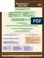 Management of Atonioc PPH