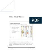 7 Facies Interpretation