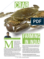 Mud Carab Farming in India