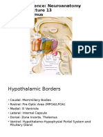 L Basic Neuroscience Lecture 13