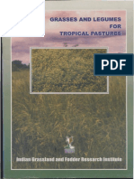 Tropical Pasture PDF