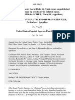 Pineiro-Sanchez v. SHHS, 89 F.3d 823, 1st Cir. (1995)