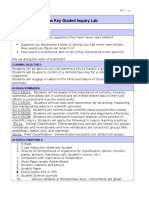 Dyi Dichotomous Key Guided Inquiry Paperwork