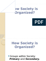 How Society Is Organized