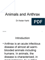 Animals and Anthrax