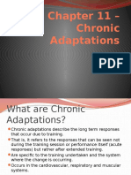 Chapter 11 Chronic Adaptations