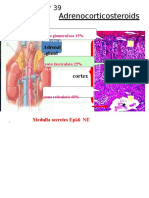 1-Adrenocorticosteroids Chapter39