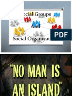 Social Organization and Structure