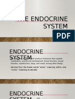 The Endocrine System