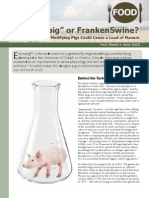 "Enviropig" or FrankenSwine? Why Genetically Modifying Pigs Could Cause A Load of Manure