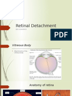 Retinal Detachment