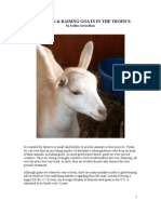 Acquiring & Raising Goats in The Tropics