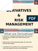 Derivatives & Risk Management