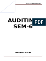 Auditing SEM-6: Company Audit