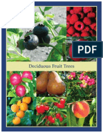 Deciduous Fruit Trees - Leo Gentry Nursery