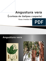 Angustura Vera