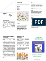 Triptico Vertebrados