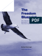 Freedom Blueprint