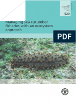 Sea Cucumber PDF