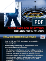 10 - Guidelines For IOR and EOR