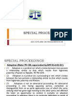 Special Proceedings Adoption