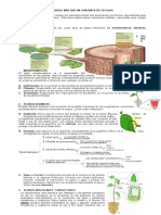 Guia Tejidos Vegetales