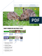 Rabbit Farming Info and Project Guide - Agri Farming