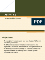 Activity 1 - Intestinal Protozoans