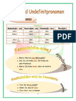 67 Definit - & Indefinitpronomen PDF