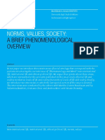 Norms, Values, Society:: A Brief Phenomenological