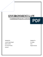 Environment Law: Constitutional Perspective On Environment