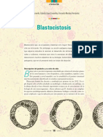 Blastocitosis