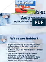 Rabies Awareness