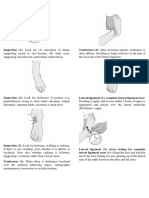 Ankle Examination Orthopaedics Mcrae