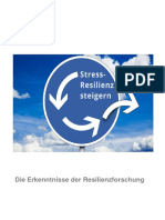 Resilienz 