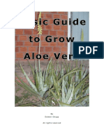 Basic Guide To Grow Aloe PDF