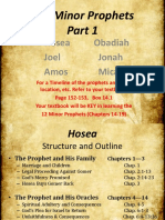 Minor Prophets Hosea-Micah