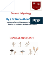 By / DR Nuha Abou Sekkina: Lecturer of Microbiology and Immunology, Faculty of Medicine, Helwan University