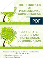 The Principles of Professional Communication